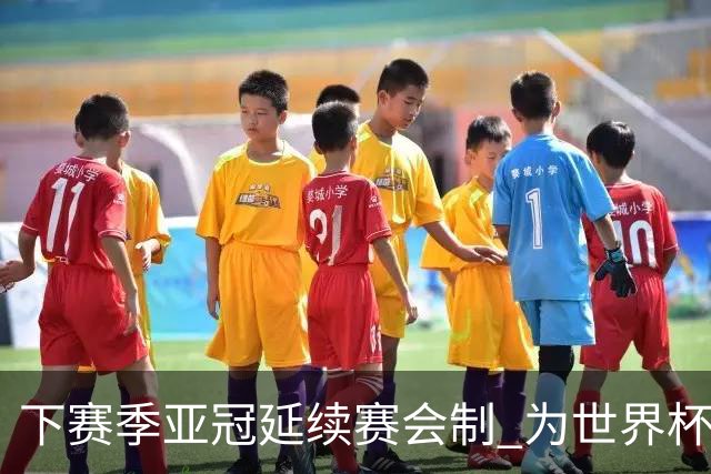 下赛季亚冠延续赛会制 为世界杯让路10月结束